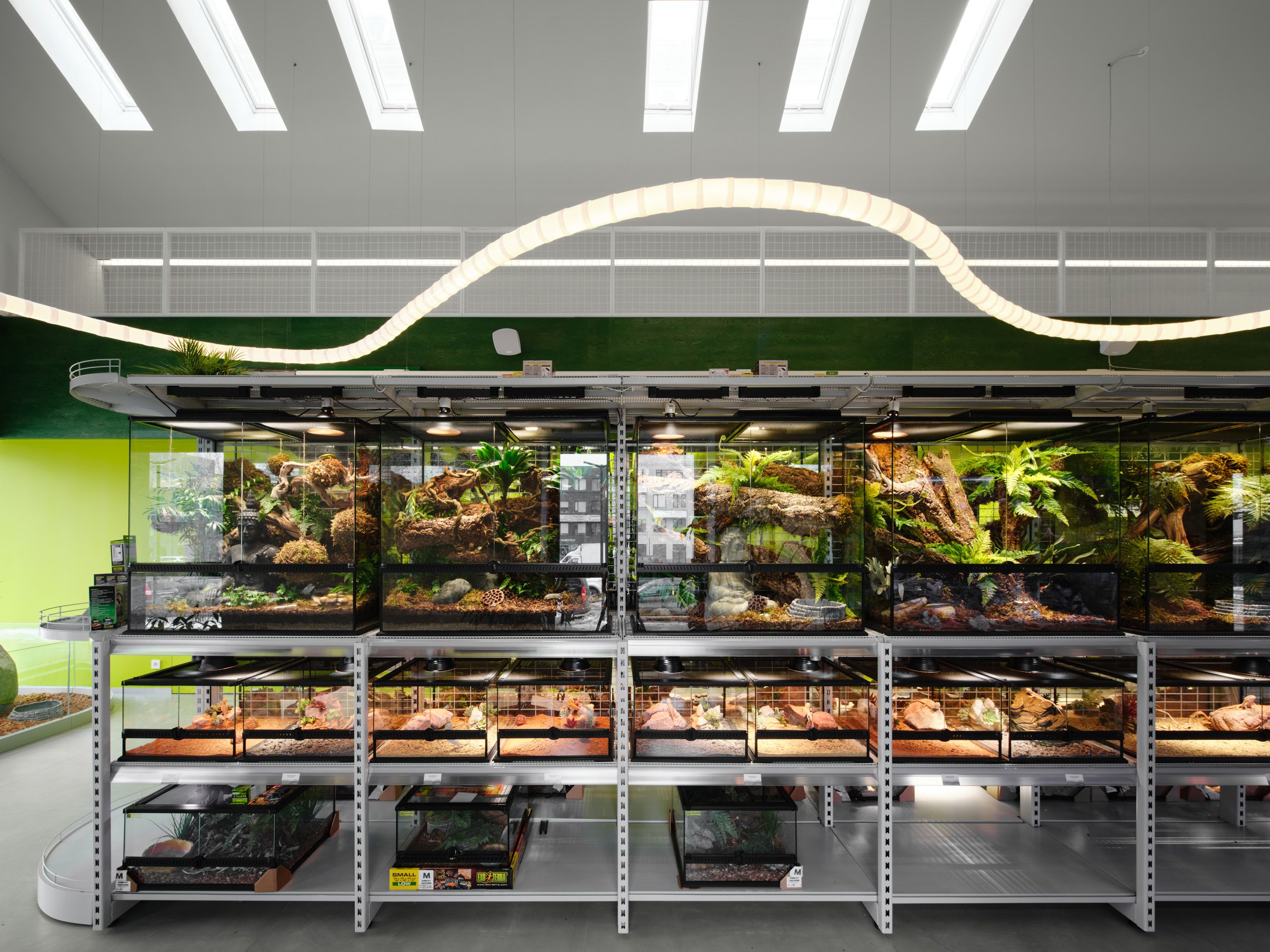 Panteric exotic pet shop interior with black terrariums, greenery and jungle-like atmosphere