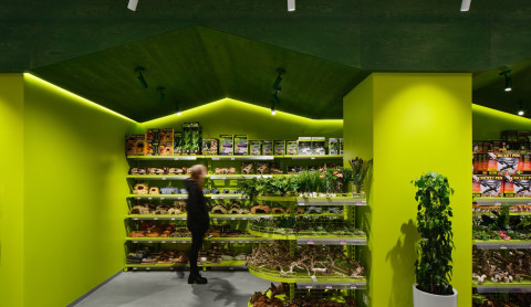 Main Panteric retail room with geometric displays, plants and dark terrariums