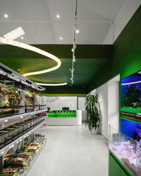 Vertical plant niche and dark display detail in Panteric