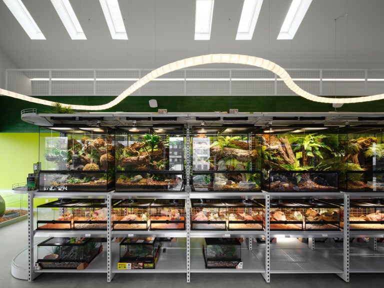 Panteric shop hero view with immersive jungle-inspired interior and display zones