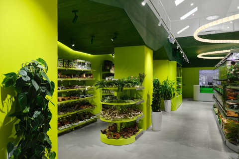 Panteric terrarium display wall with dark frames and planted niches