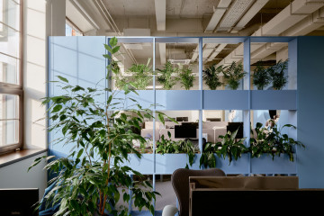 Yandex Office 02 workspace with ergonomic desks, blue partitions and warm timber finishes